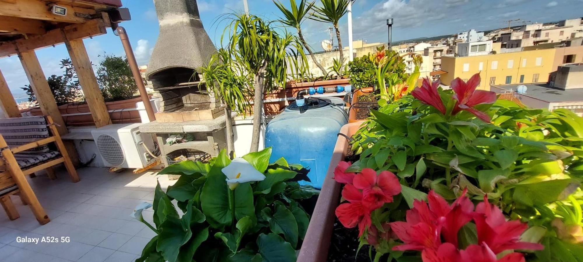 Appartamento Con Terrazza Alghero Buitenkant foto